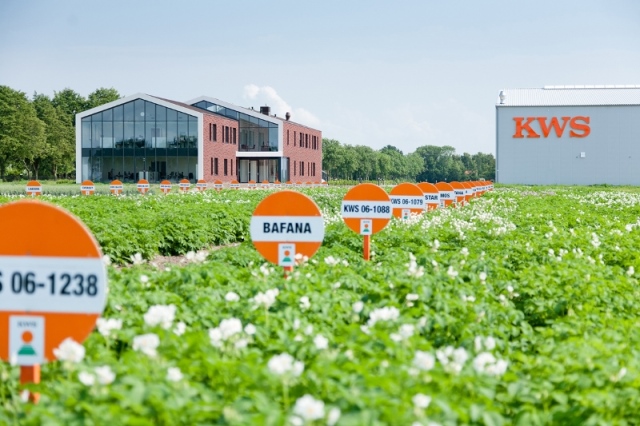 Международная выставка сортов картофеля и рассады в Голландии